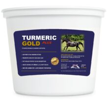 Turmeric Gold Plus Tester size 0.955 LBS