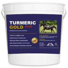 Turmeric Gold Plus 5 LBS